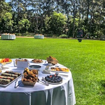 Catering on the Duck Pond Lawn